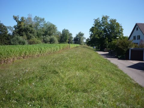 Bahndamm entlang von Auenheim