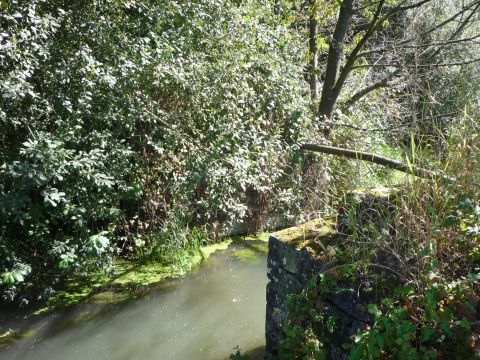 Brcke ber den Banngraben