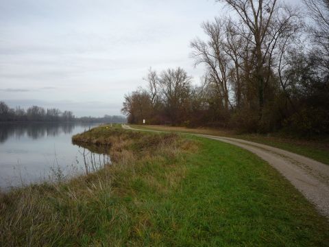 Ehemalige Schiffsbrcke ber den Rhein