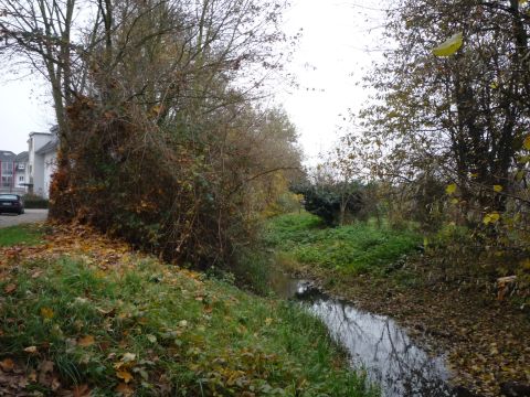 1. Brcke ber den Riedgraben