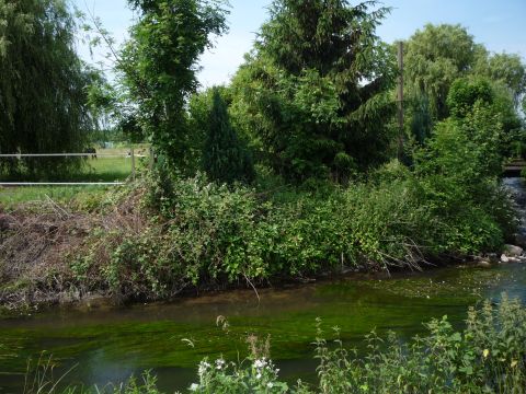 Ehemalige Brcke ber den Sulzbach