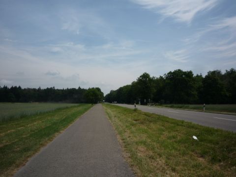 Zwischen Hgelsheim und Iffezheim