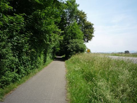 Zwischen Hgelsheim und Iffezheim