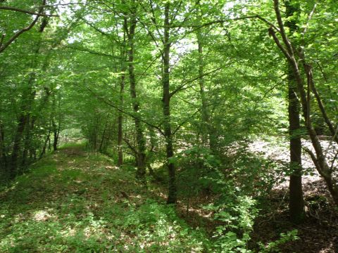 Zwischen Iffezheim und Rastatt bergabebahnhof