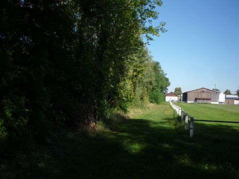 Zwischen Kehl und Auenheim