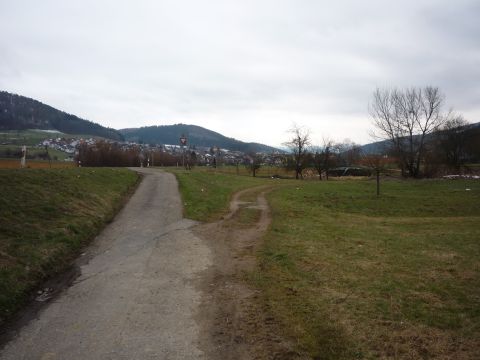 Zwischen Reichenbach und Seelbach