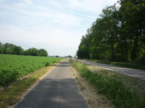 Zwischen Sllingen und Hgelsheim