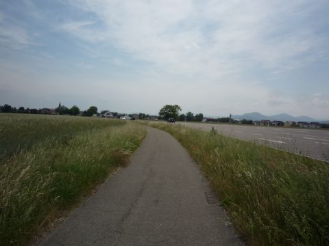 Zwischen Sllingen und Hgelsheim