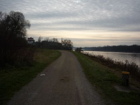 Bauhof
